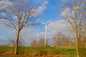 Staatsregierung bremst Erneuerbare – BÜNDNISGRÜNE kritisieren geplanten Genehmigungsstopp für Windenergieanlagen