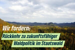 Schluss für FSC-Zertifizierung im Staatswald – BÜNDNISGRÜNE: Herber Rückschlag für zukunftsfähige Waldpolitik