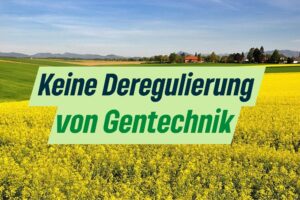 Trilog zur neuen Gentechnik in Brüssel – BÜNDNISGRÜNE: Wer jetzt Gentechnik dereguliert, der gefährdet Bio-Betriebe