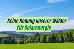 Anhörung PV im Wald – BÜNDNISGRÜNE: Rodung unserer Wälder für Solaranlagen zerstört Vertrauen in Energiewende