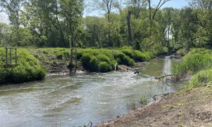 Einladung zur Pleiße-Begehung am 8. Mai 2026