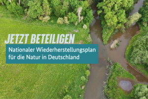 Bis 25.06. kommentieren und Naturschutz verteidigen: Bürgerbeteiligung zum Nationalen Wiederherstellungsplan
