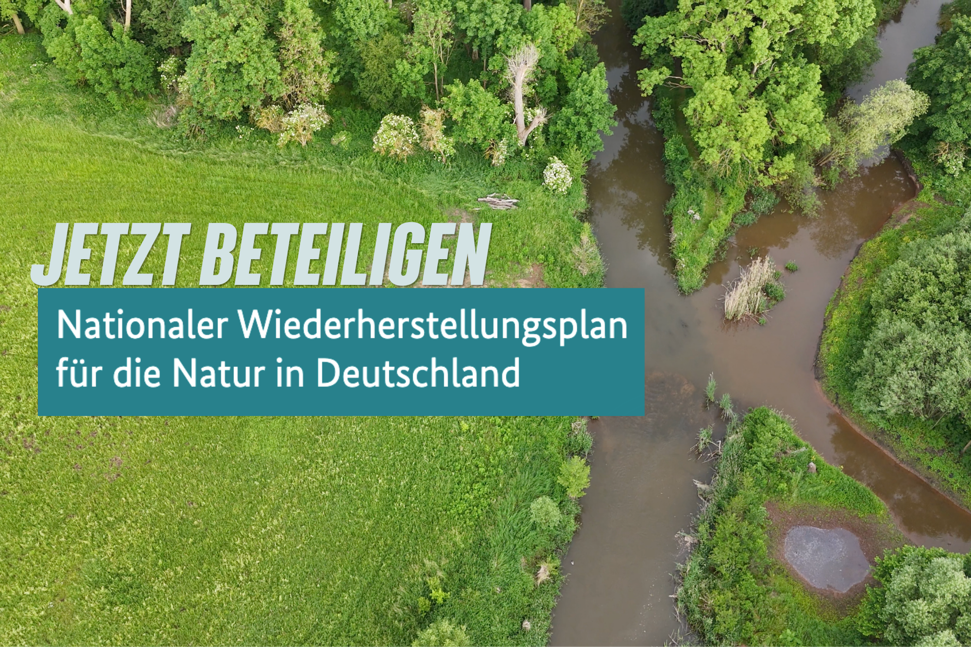 Auenlandschaft mit dem Aufruf: "Jetzt beteiligen" Nationaler Wiederherstellungsplan für die Natur in Deutschland
